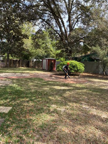 Person using a leaf blower in a backyard with trees and a shed.