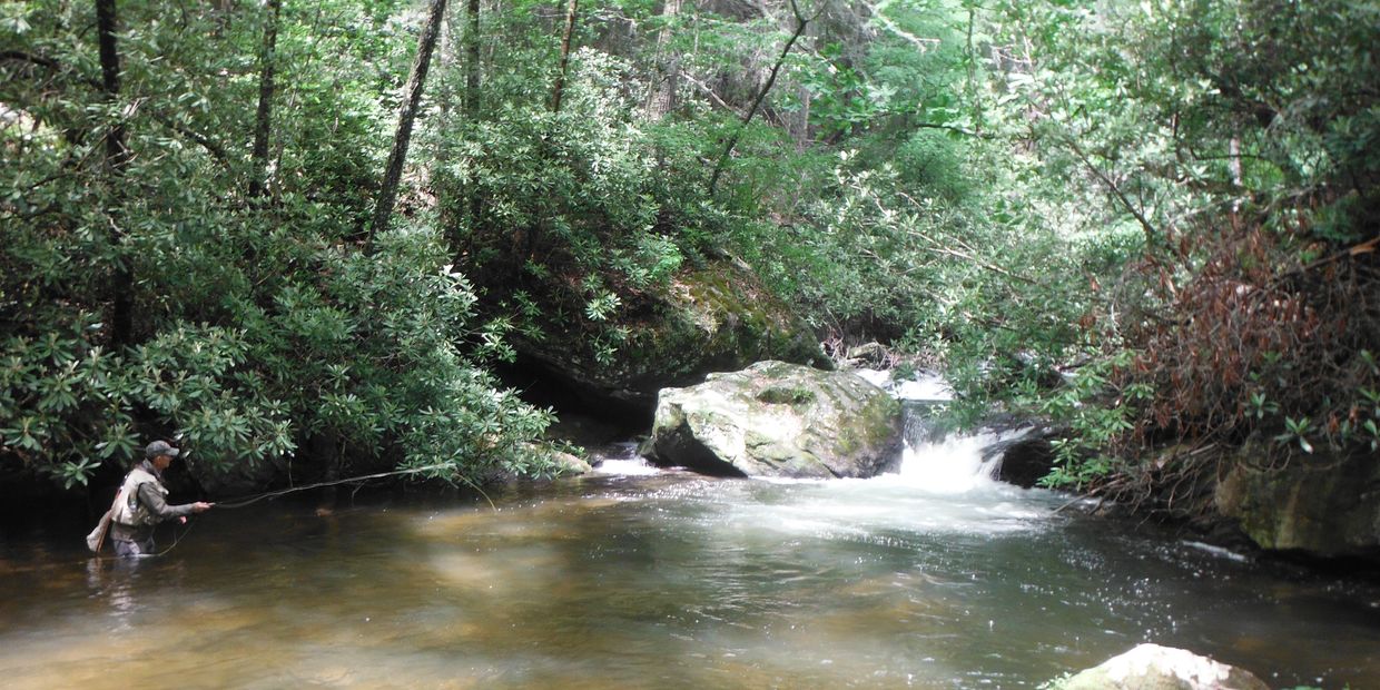 Angler fishing for wild trout in a Toccoa River waterfall.