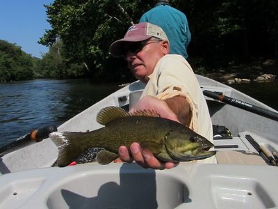 Angler displaying small mouth bass caught on the Hiwassee River, near Reliance Tennessee.