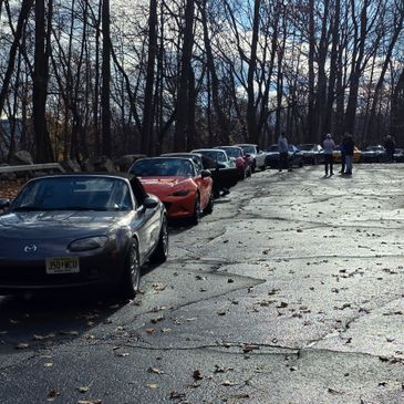 A line of sports cars parked along a tree-lined road on a sunny day.