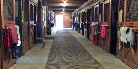 Horse Boarding in Harvard - Hidden Tower Stable | Hidden Tower Stable