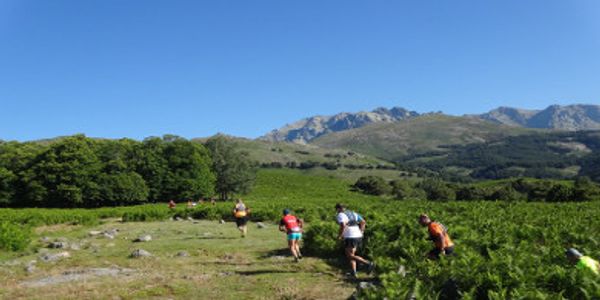 Trail El Guerrero Fast, Candeleda, Gredos