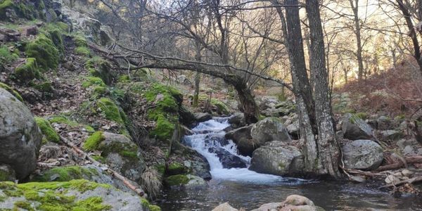 Trail El Guerrero, Candeleda, Gredos Paraiso del Trail Running Castañarejo