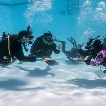Scuba diving lessons in a pool