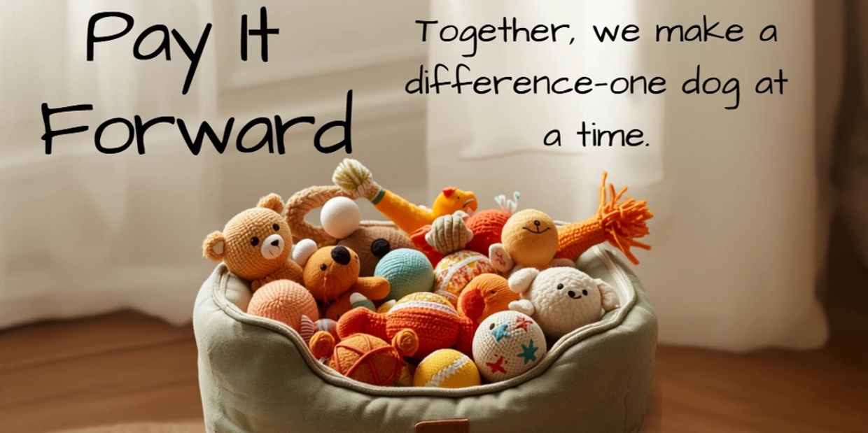 Basket of colorful dog toys with a message about making a difference one dog at a time.