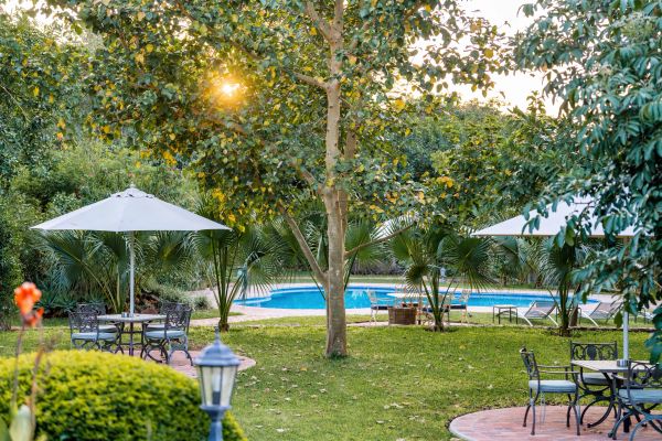 Outdoor pool area with umbrellas and seating surrounded by lush greenery.