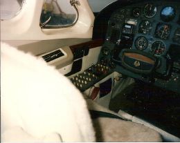 Pilot Seat