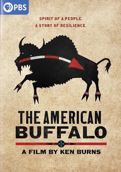 Michael Paul Art Photographer of the American West buffalo western art Ken Burns documentary