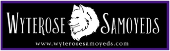 WyteRose Samoyeds