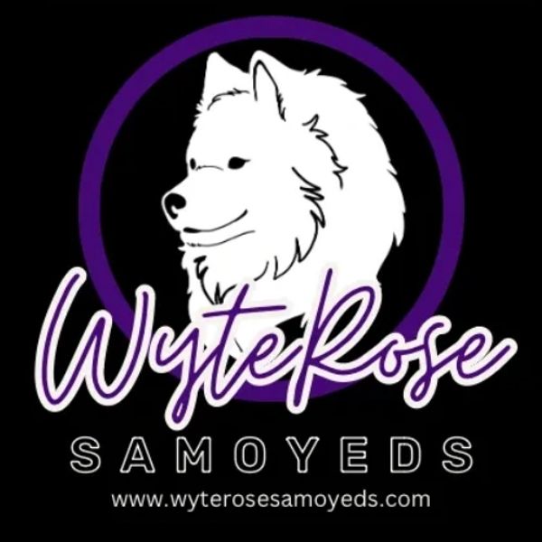 Logo of WyteRose Samoyeds featuring a white Samoyed dog.