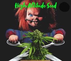 High Altitude Seeds