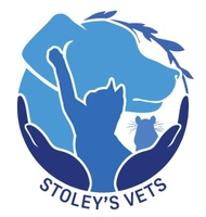 Stoleysvets