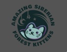 Amazing Siberian Forest kittens