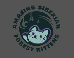 Amazing Siberian Forest kittens