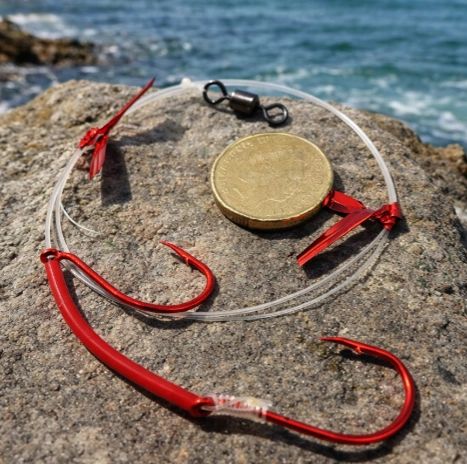 Why the Right Rig Matters in Australian Fishing