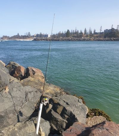 Fishing rock wall edges and tidal channel seams are prime feeding zones for estuary bream