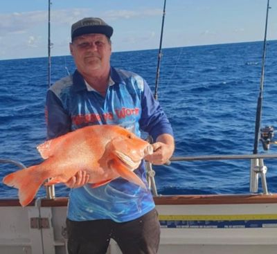 Red emperor caught offshore on Swains Reef demonstrating results from heavy Australian reef fishing 