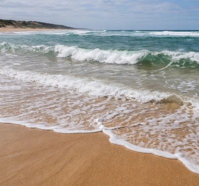 Australian salmon patrol shallow whitewater gutters looking for bait pushed through the surf.