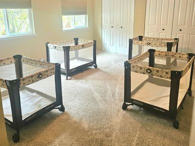 Four empty baby playpens arranged in a carpeted room with windows and closets.