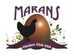 Marans Chicken Club, USA