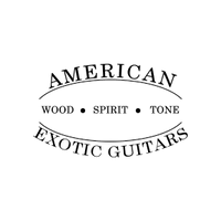 American Exotic Guitars