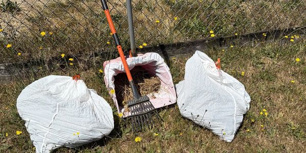 Two white garden bags and a rake with a dustpan on grass near a chain-link fence.