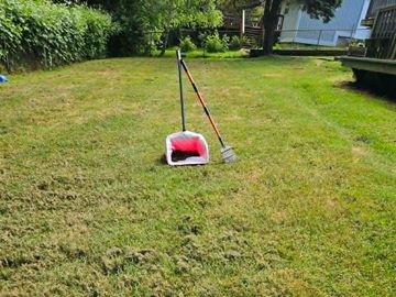 A broom and dustpan on a grassy lawn.