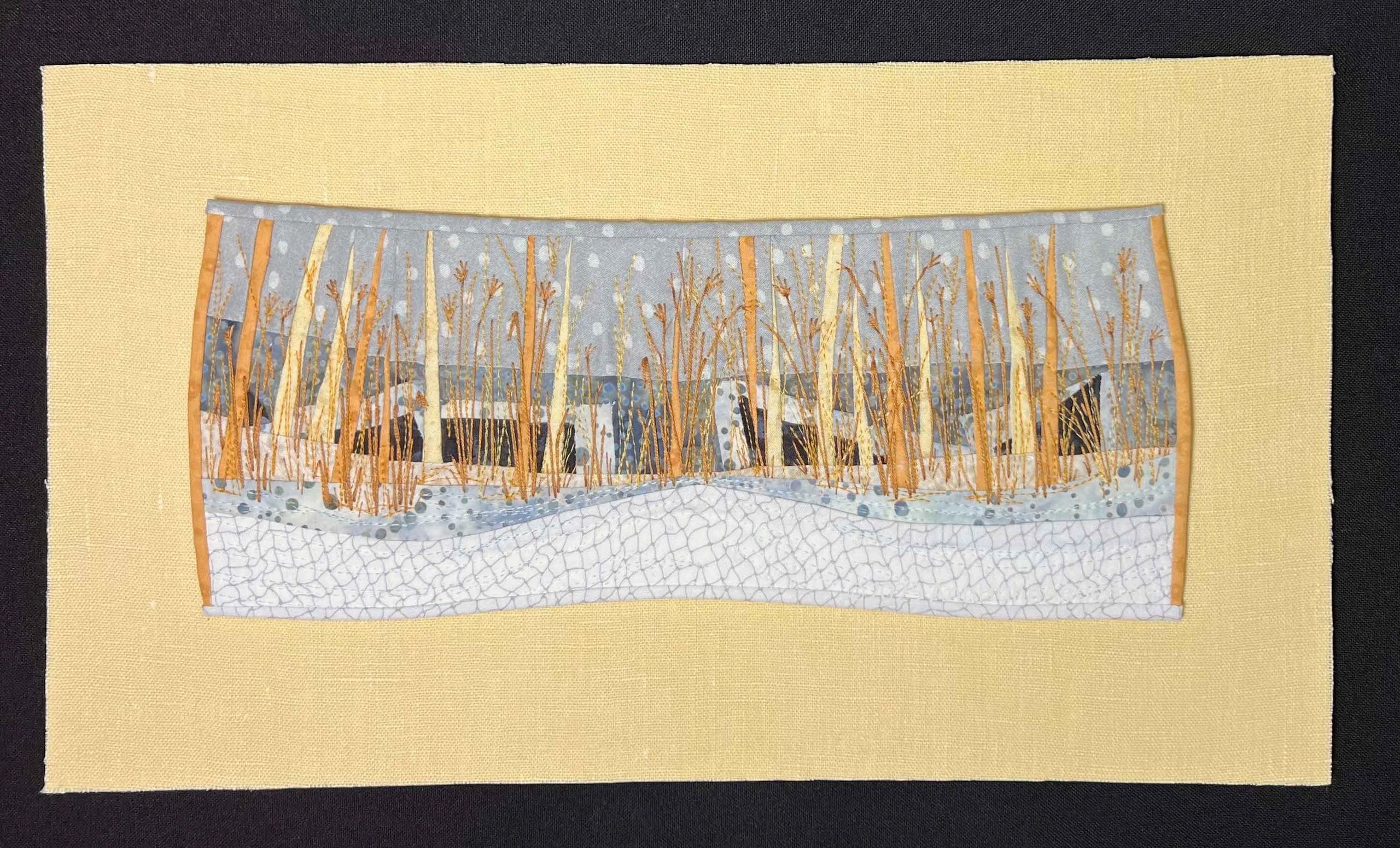 Ann Huhn-Anderson; Fiber Artist; Minnesota Artist; Twin Cities Fiberartist; Quilting Arts