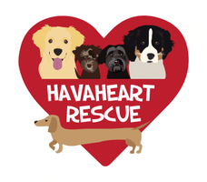 HavaHeart Rescue