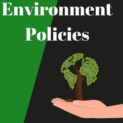 Hand holding a tree shaped like continents under the text 'Environment Policies'.