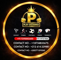 play exchange ONLINE GAMING 