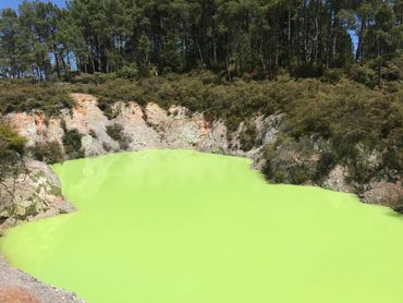 Geothermal Pools in Rotorua, New Zealand