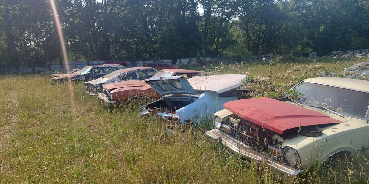 Row of abandoned vintage cars in overgrown grass under sunlight.