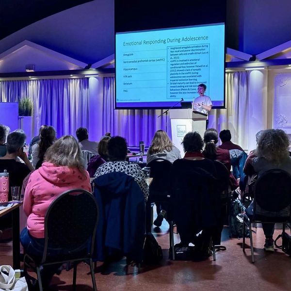 Daniel presenting the Netherlands