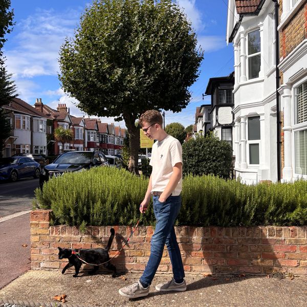 Daniel training a cat to walk on leash