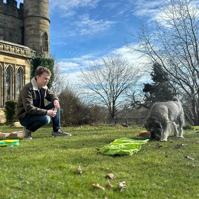 Daniel Shaw working with a dog