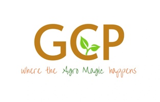 GCPEURO.com