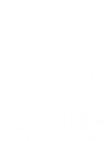 SWK Drone Services