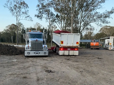 Truck and dog