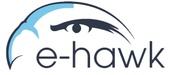 E-Hawk 