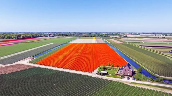Agriculture