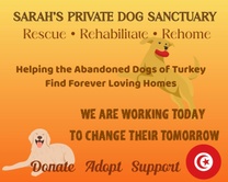 Köyceğiz Dogs Sanctuary 