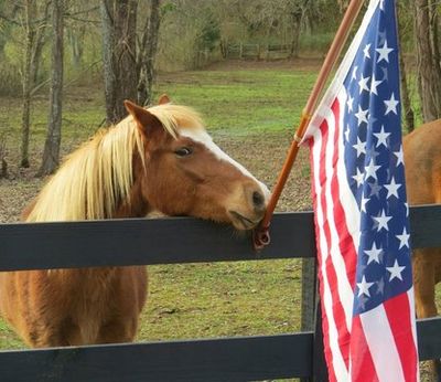 Horse with a flag