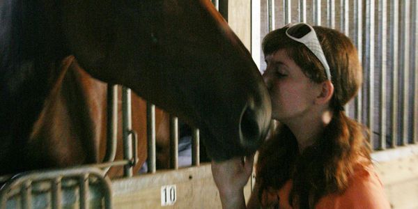 Horse and girl 