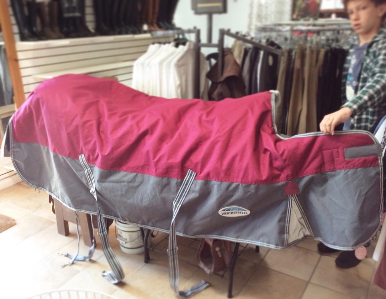 Horse Care Bits Equestrian Outlet