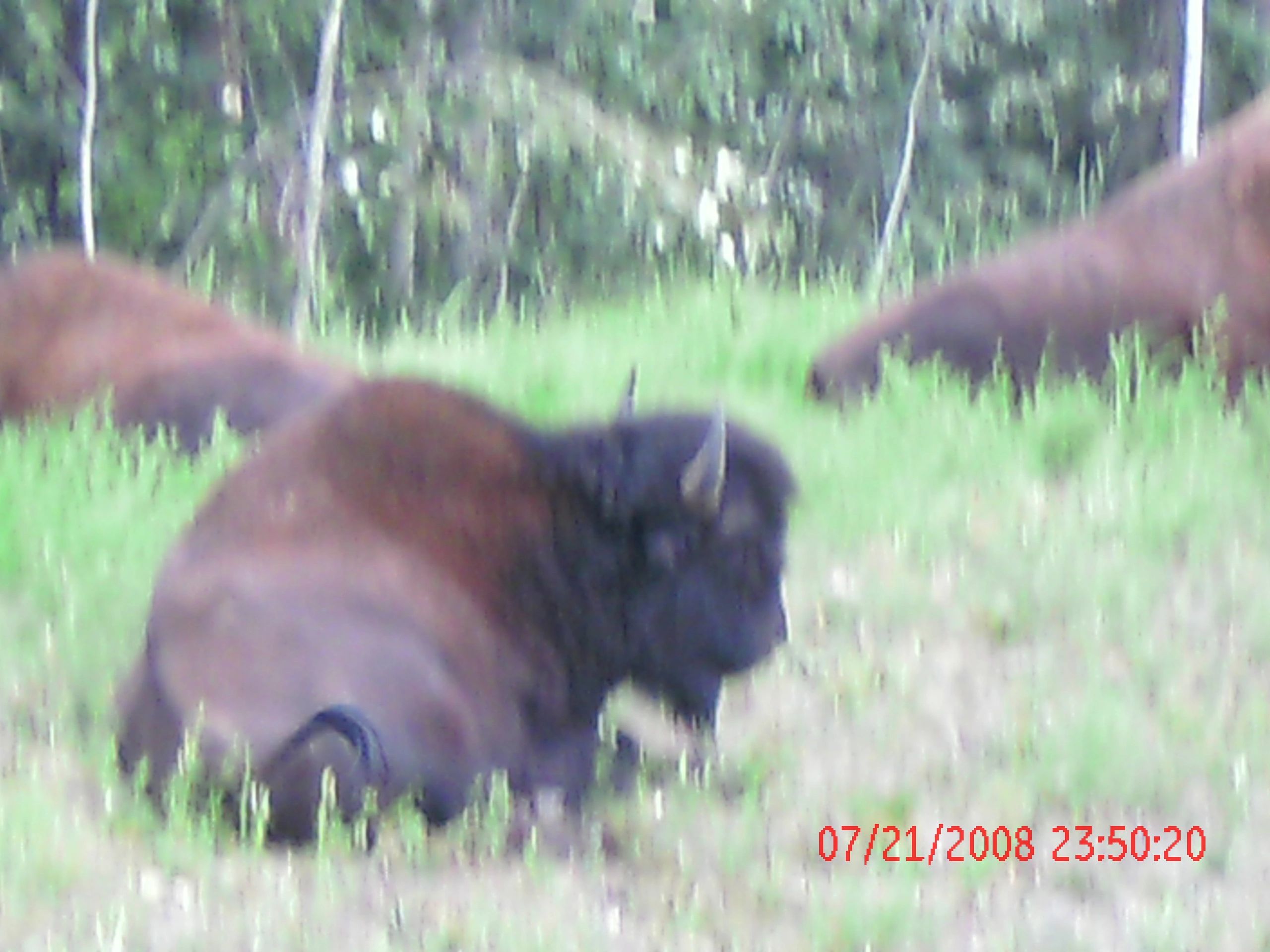 GEDC0361.JPG