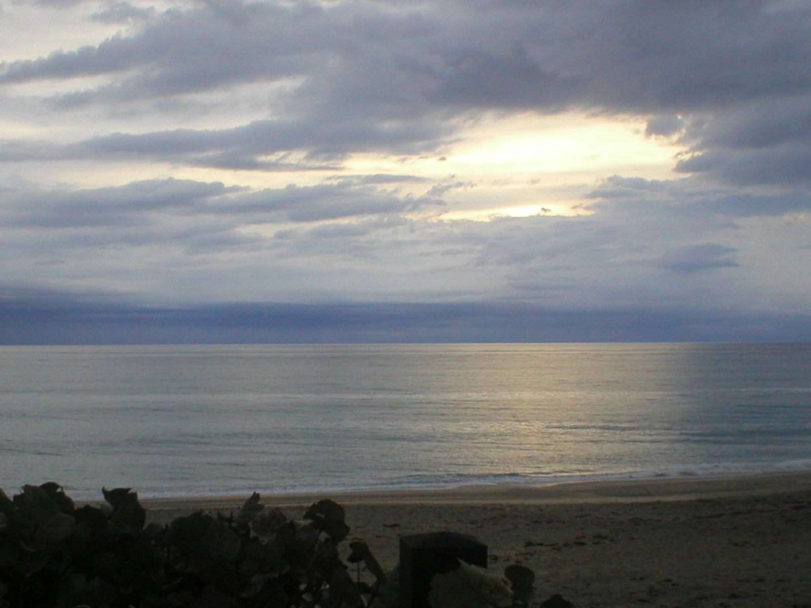 P1010008.JPG