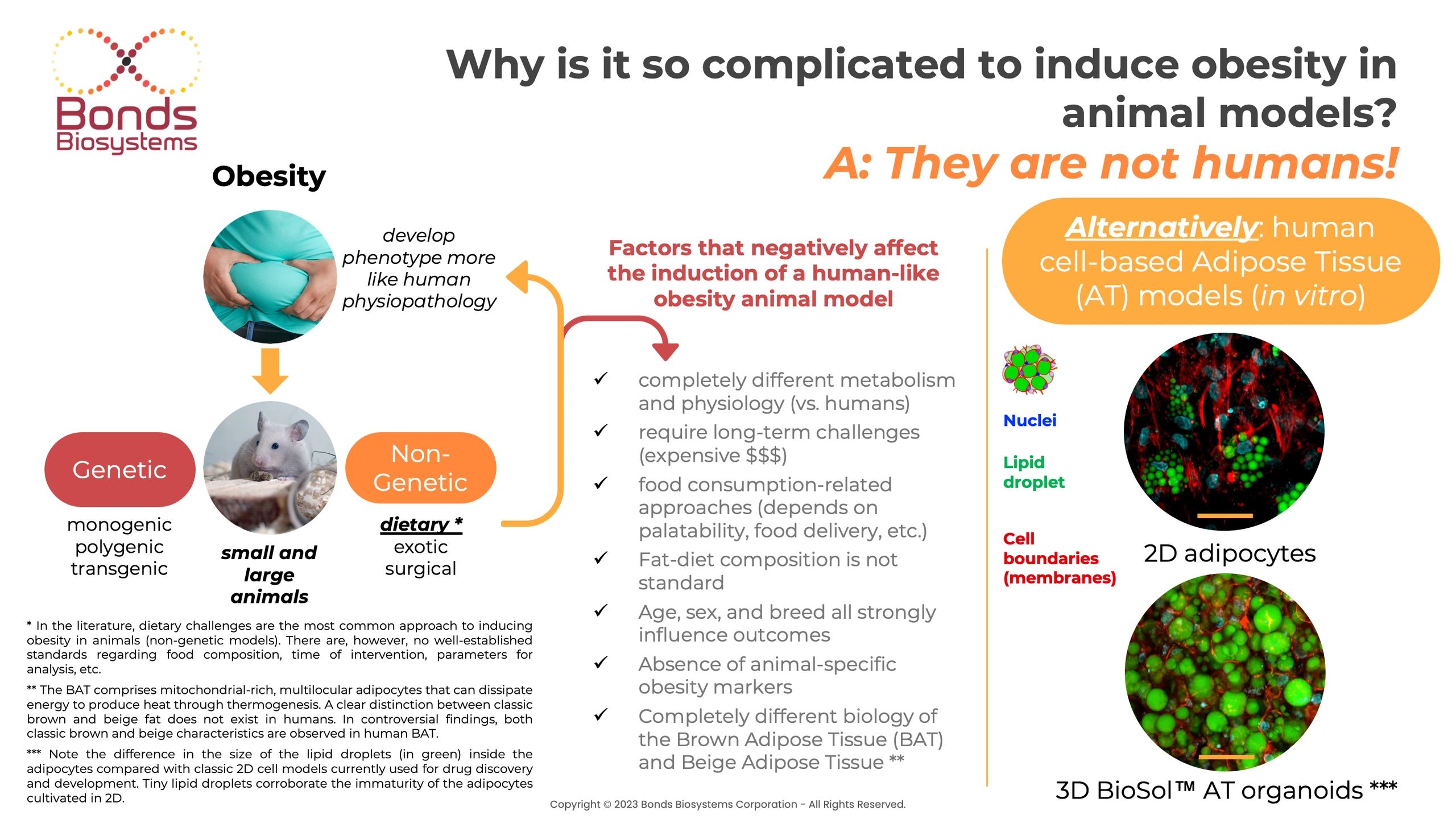 Did you know? Why is so complicated to induce obesity in animals?