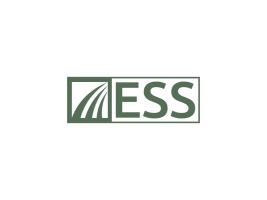 Express Staffing Services