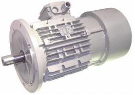 Coel SW Brake Motor